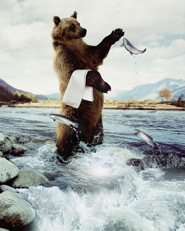Awesome Photographs By Frank Uyttenhove