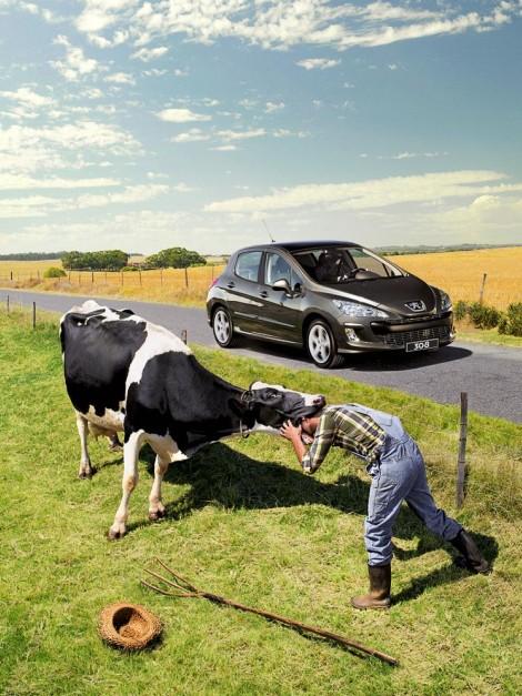 Awesome Photographs By Frank Uyttenhove