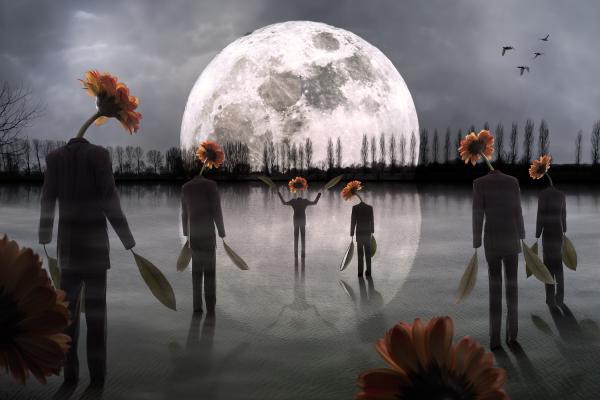 Photo Manipulations by Christophe Kiciak