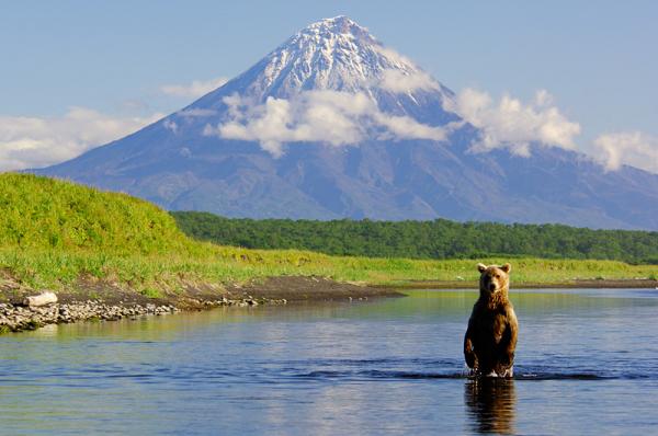 Lifes of Russian Wild Animals