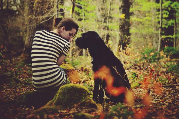 Expressive Photography by Laura Zalenga