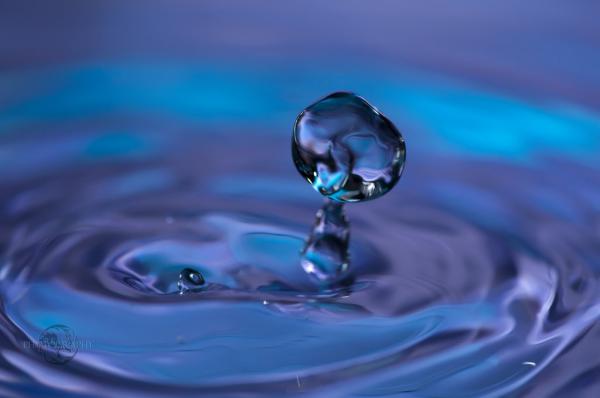 Fantastic Water Drops Photography