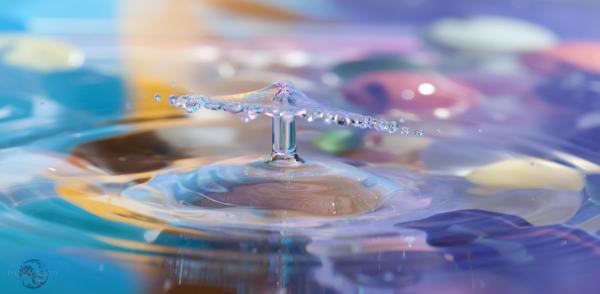 Fantastic Water Drops Photography