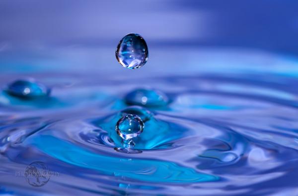 Fantastic Water Drops Photography