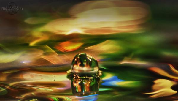 Fantastic Water Drops Photography
