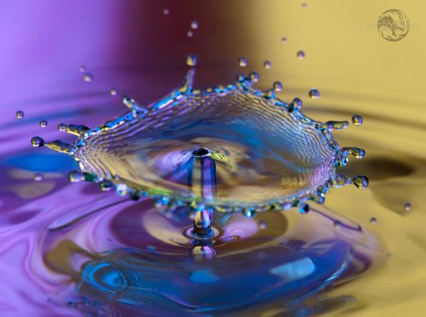 Fantastic Water Drops Photography