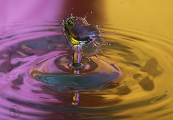 Fantastic Water Drops Photography