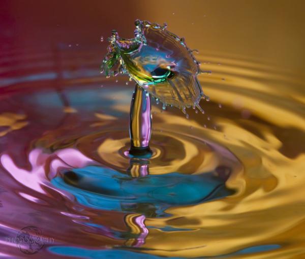 Fantastic Water Drops Photography