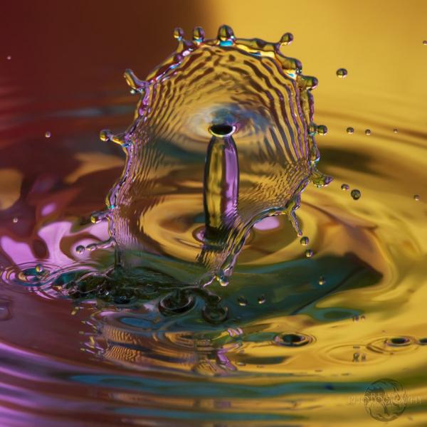 Fantastic Water Drops Photography