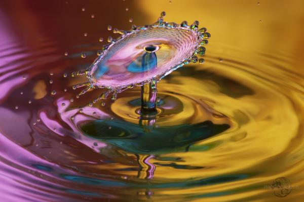 Fantastic Water Drops Photography