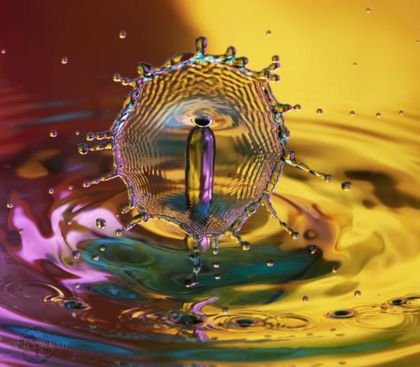 Fantastic Water Drops Photography