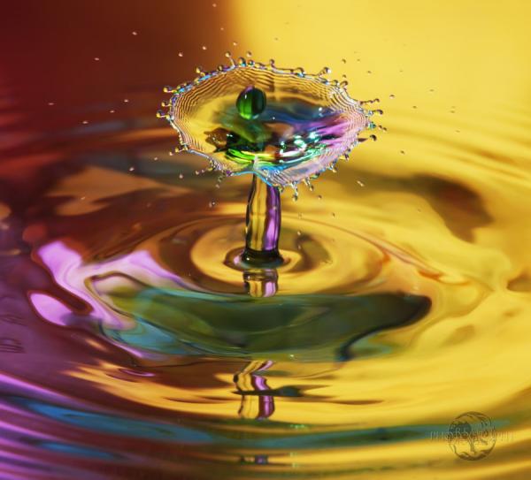 Fantastic Water Drops Photography