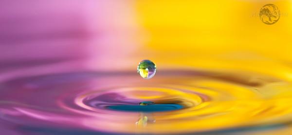 Fantastic Water Drops Photography