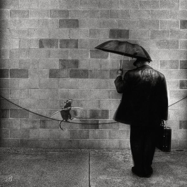 Black and White Photography by Brian Day