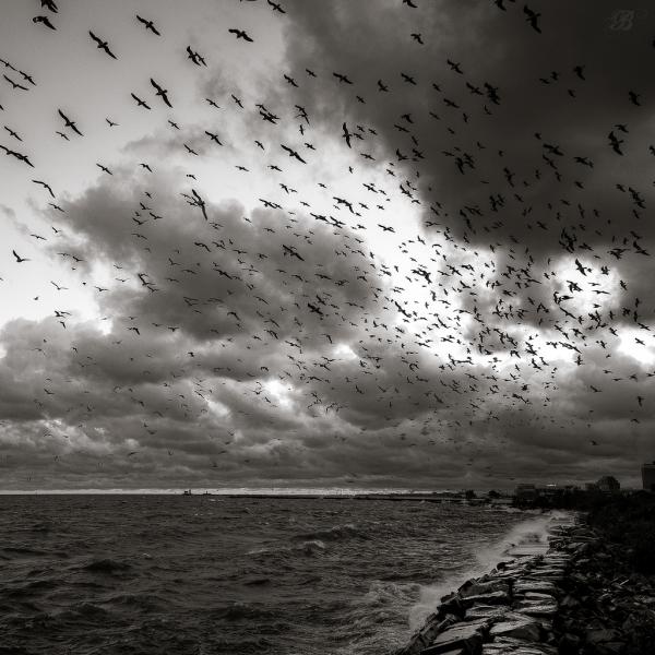 Black and White Photography by Brian Day