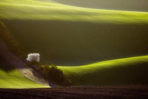 Landscape Photography by Boguslaw Strempel