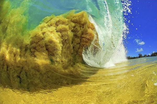 Shorebreak Photography by Clark Little