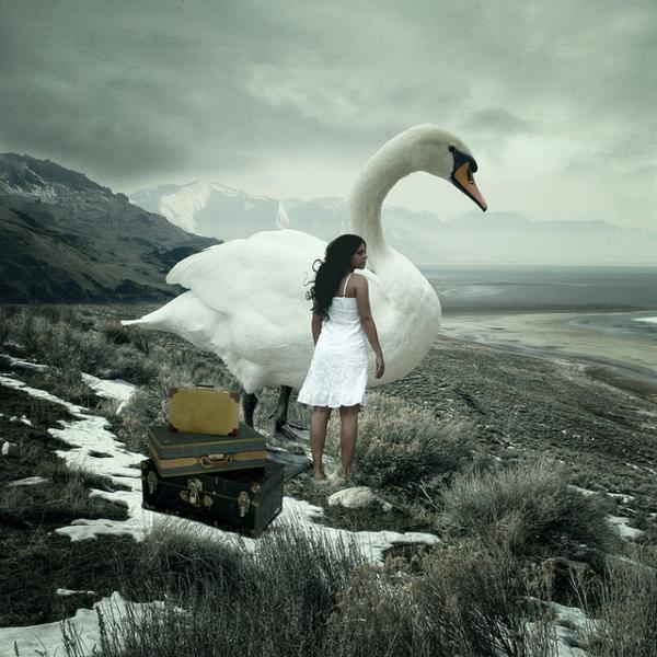 Creative Photo Retouch by Anja