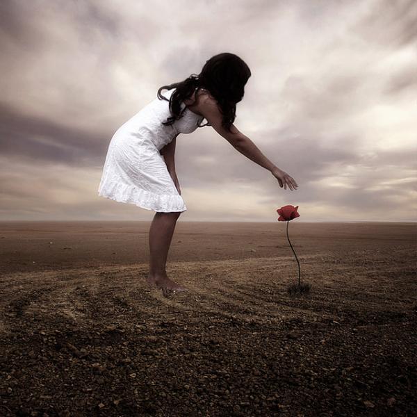 Creative Photo Retouch by Anja
