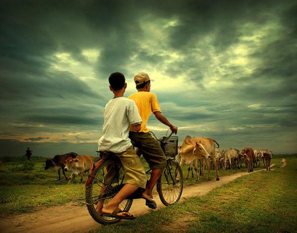 Indonesian Country Life by Teuku Jody Zulkarnaen