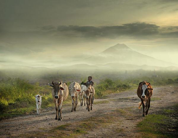 Indonesian Country Life by Teuku Jody Zulkarnaen