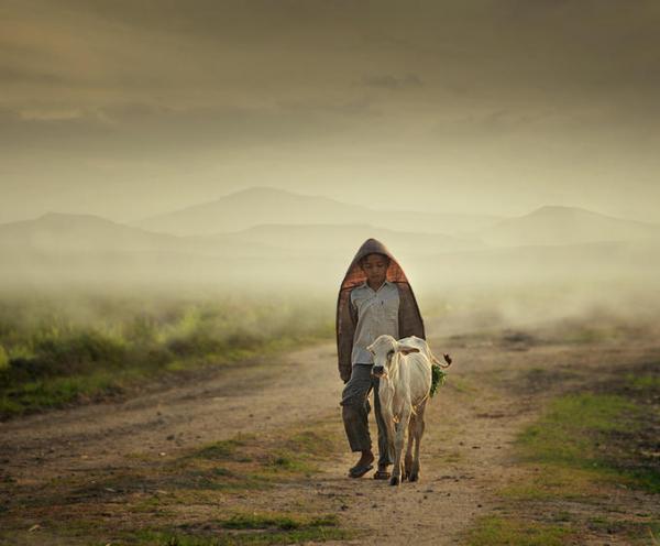 Indonesian Country Life by Teuku Jody Zulkarnaen
