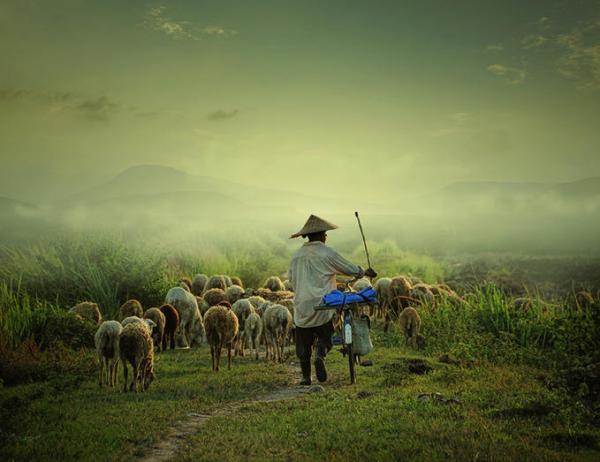Indonesian Country Life by Teuku Jody Zulkarnaen