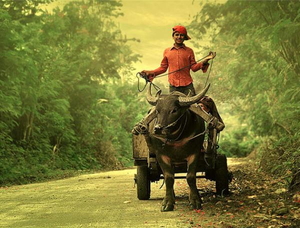 Indonesian Country Life by Teuku Jody Zulkarnaen