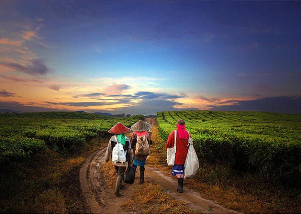 Indonesian Country Life by Teuku Jody Zulkarnaen