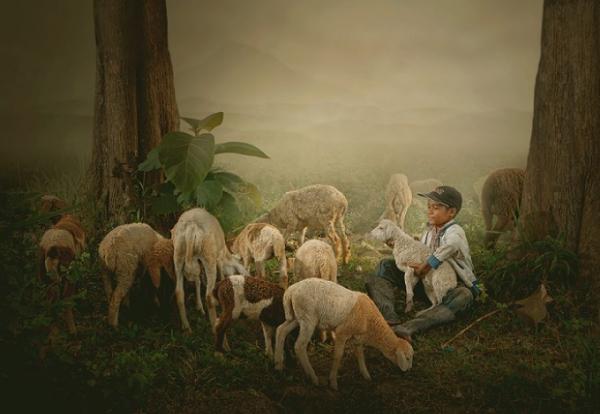 Indonesian Country Life by Teuku Jody Zulkarnaen