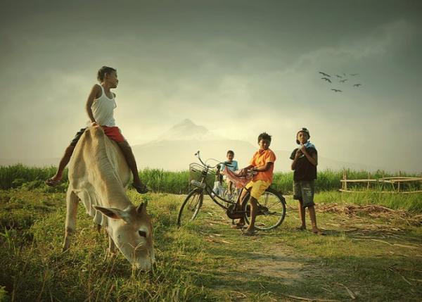 Indonesian Country Life by Teuku Jody Zulkarnaen