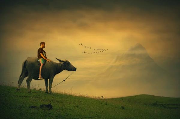 Indonesian Country Life by Teuku Jody Zulkarnaen