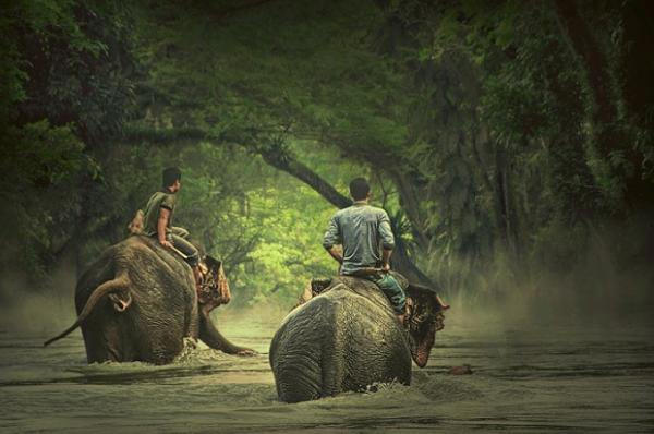 Indonesian Country Life by Teuku Jody Zulkarnaen