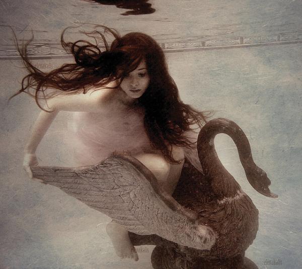 Underwater Photography by Elena Kalis