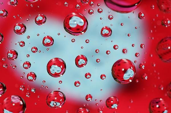Colorful Macro Shots by Nino Matasa