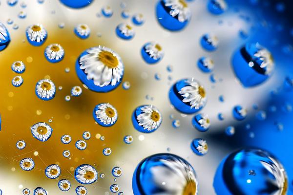 Colorful Macro Shots by Nino Matasa