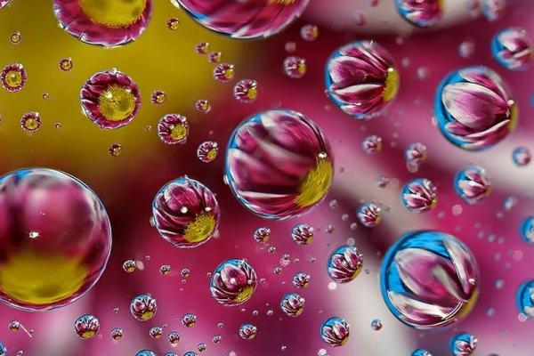 Colorful Macro Shots by Nino Matasa