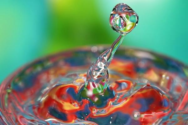 Colorful Macro Shots by Nino Matasa