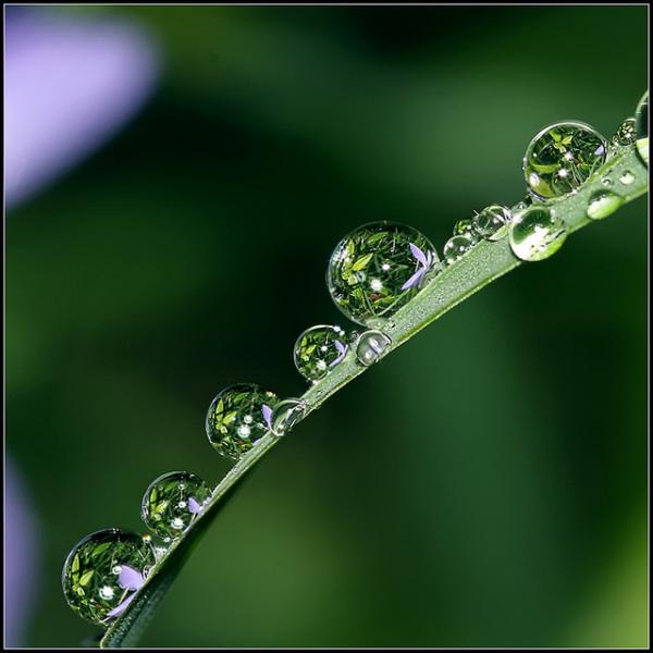 Colorful Macro Shots by Nino Matasa