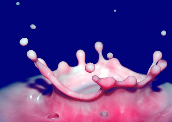 Colorful Macro Shots by Nino Matasa