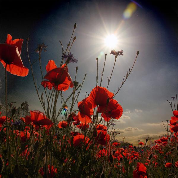 Joyful Photography by Anja