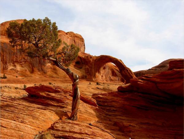 Anasazi Ruins by Rick Schafer