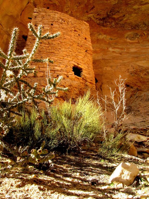 Anasazi Ruins by Rick Schafer