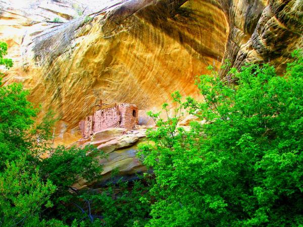 Anasazi Ruins by Rick Schafer