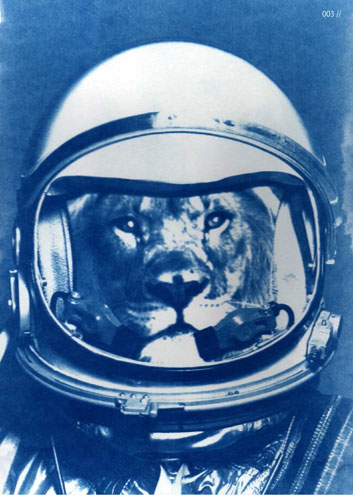 W3A : WeAreAllAnimals