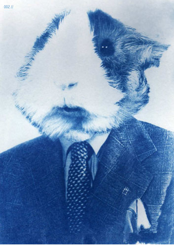 W3A : WeAreAllAnimals