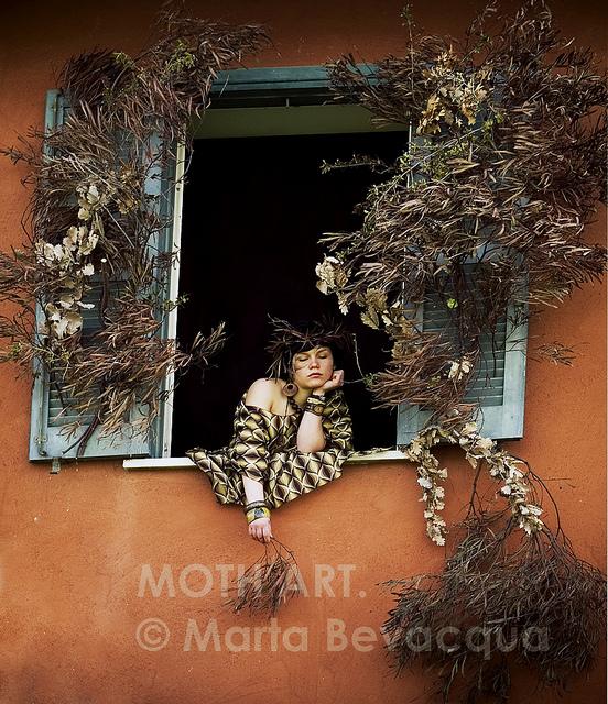 Windows Project by Marta Bevacqua