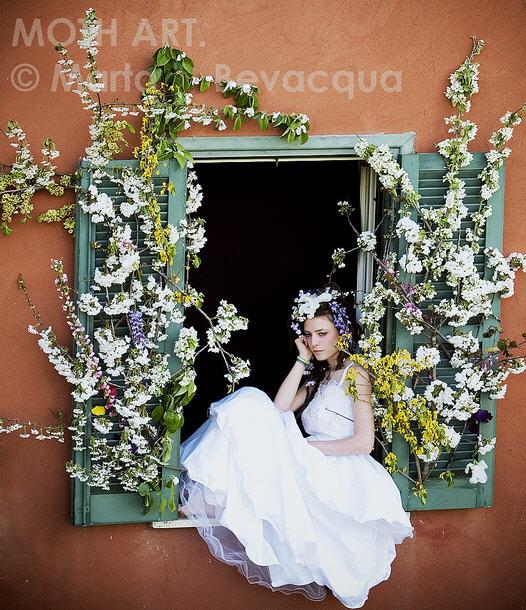 Windows Project by Marta Bevacqua