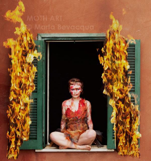 Windows Project by Marta Bevacqua
