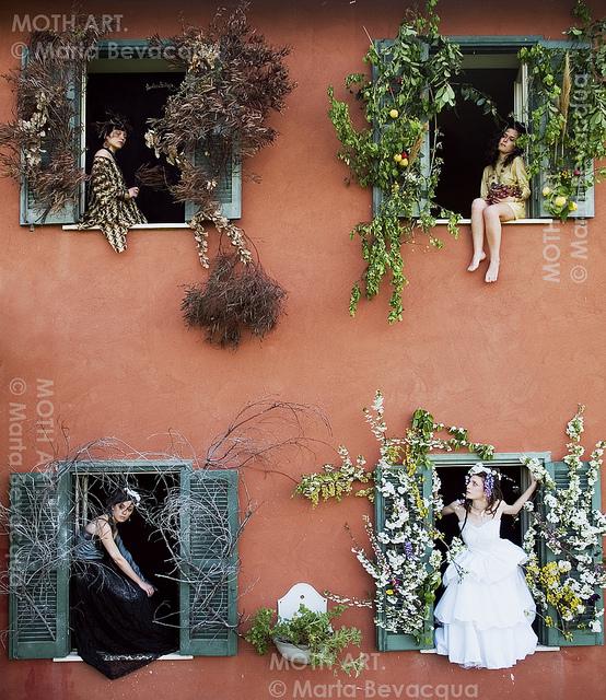 Windows Project by Marta Bevacqua